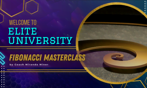CRYPTO STARTER – FIBONACCI